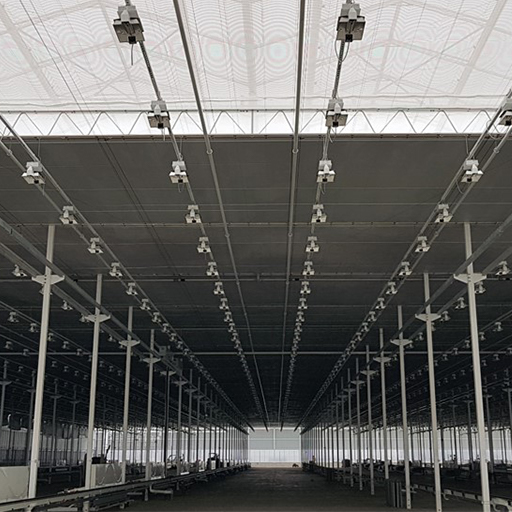 Sunens Cannabis Greenhouse