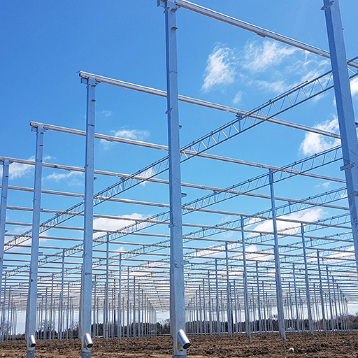 Double Diamond Farms