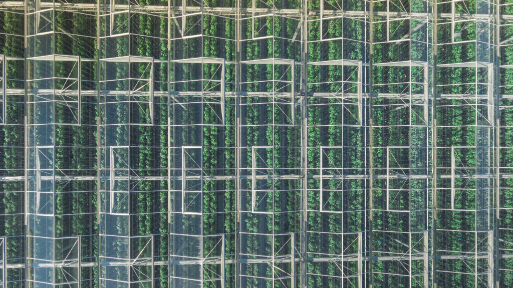 NFF-Phase 6 - Aerial-18 March 2018-12-PRINT