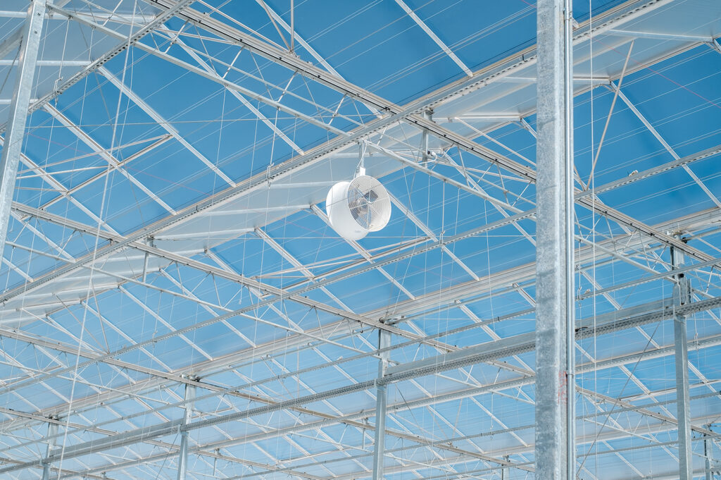 NFF_Phase 7_Contruction_25 Mar 2019 - 6