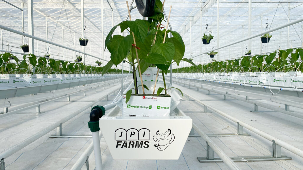 (583) December 20, 2023