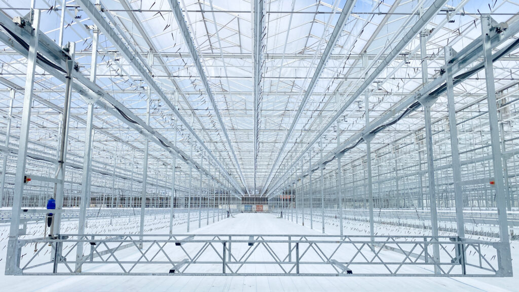 (293) February 12, 2024