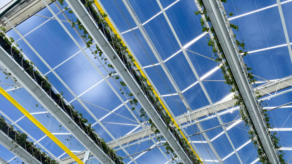 (353) March 20, 2024