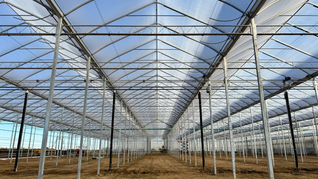 (120) 2024-10-24, 9 15 25 AM