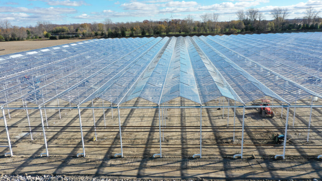 (13) November 7, 2024