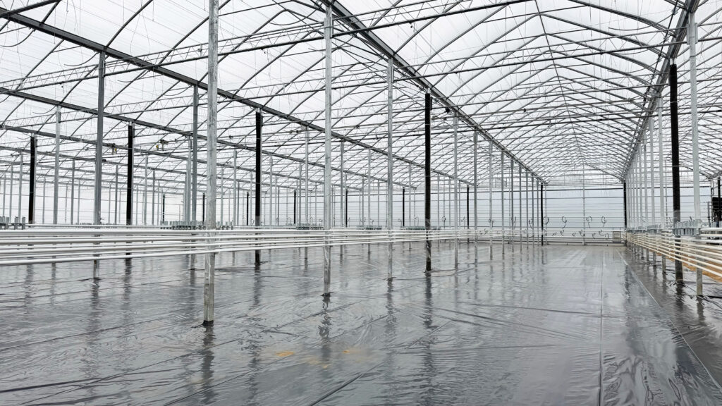 (145) 2024-11-19, 10 53 48 AM