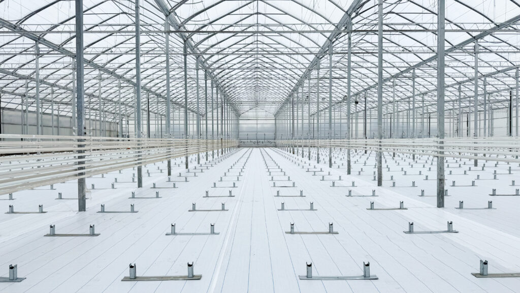 (147) 2024-11-19, 10 54 21 AM