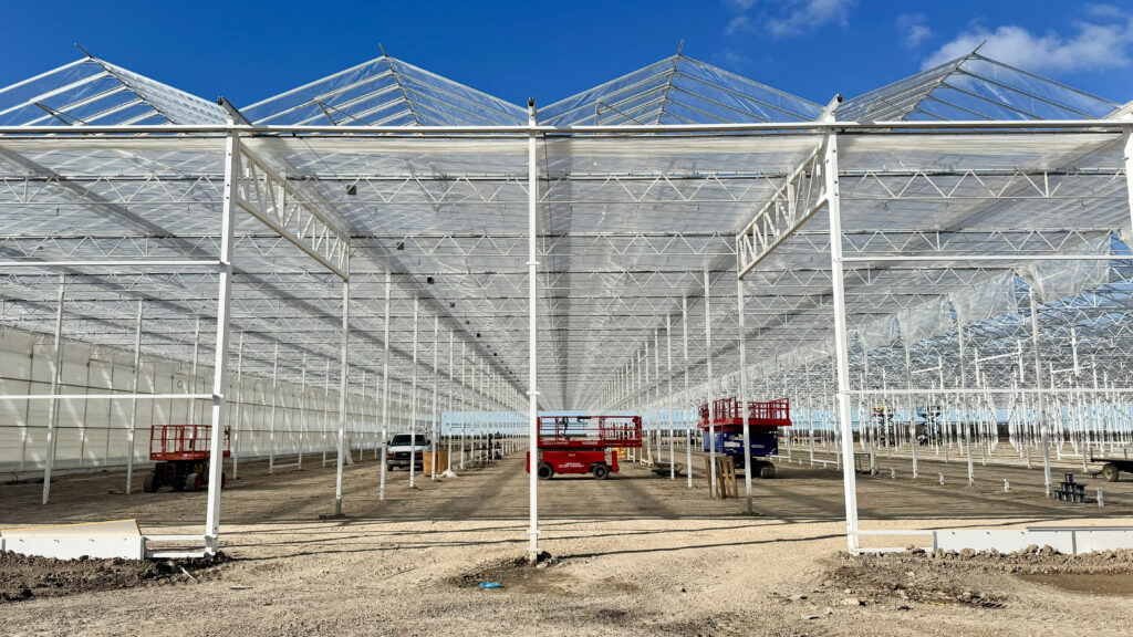 (21) 2024-11-07, 10 38 17 AM