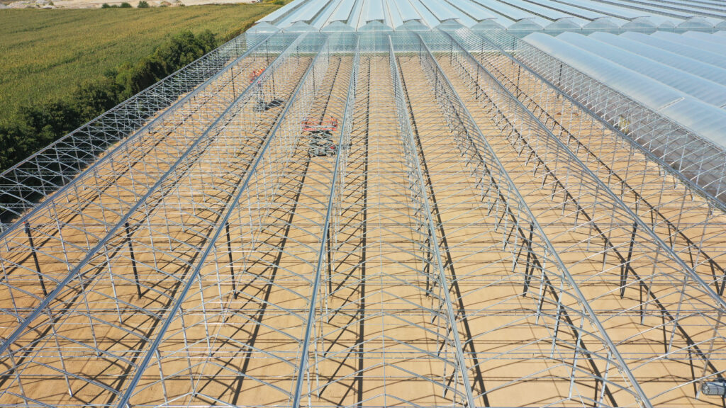 (85) September 20, 2024